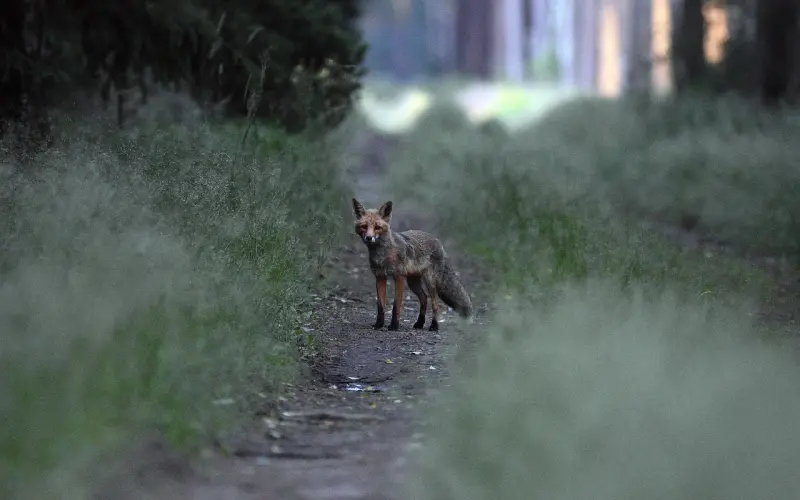 挽回男友方法：如何使用正确的方法挽回男友？跟男朋友分手3个月了如何挽回？
