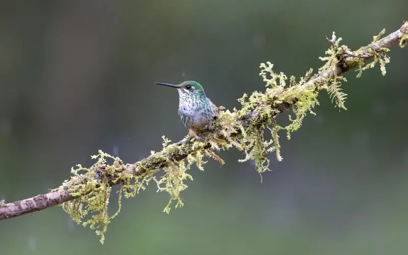 夜半 | 现在的我，不敢说累，不敢流泪