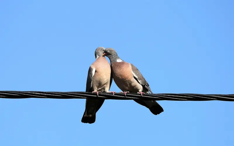 雷区：恋爱中女生最最容易犯的9个错误