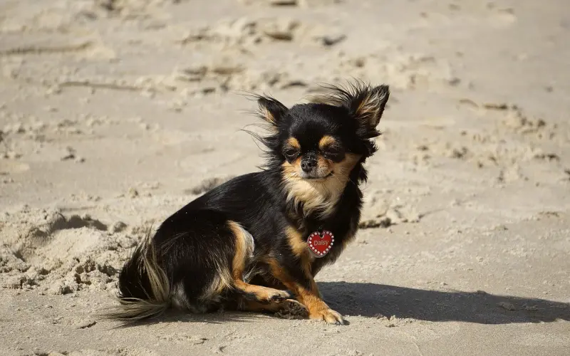 男人女人的误会：你觉得她现实，她觉得你更现实！