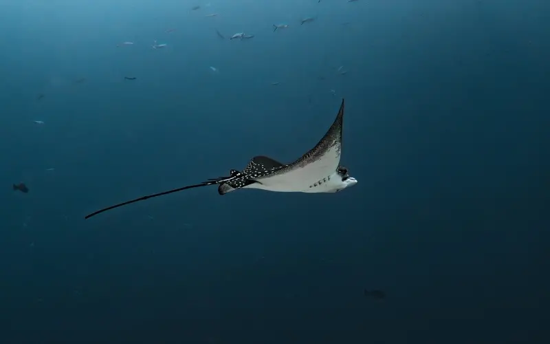 莫言：永远不要羡慕别人的生活