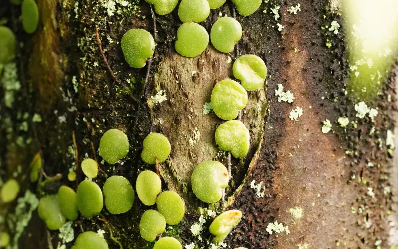 越来越多的中国夫妻，都选择了这样活……|改革开放40年，中国婚姻6大变化