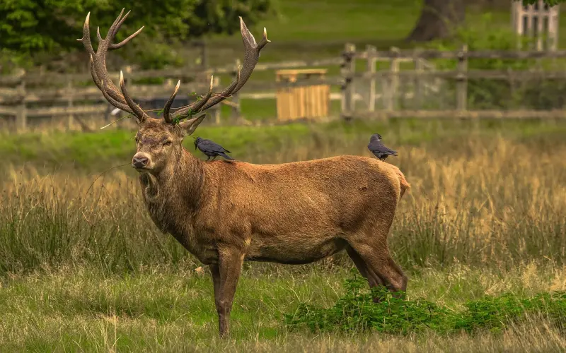 大多不幸的婚姻里，都有这个特质