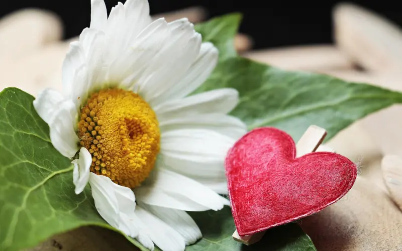 母亲节特辑 | 那些妈妈从来没和你说过的事