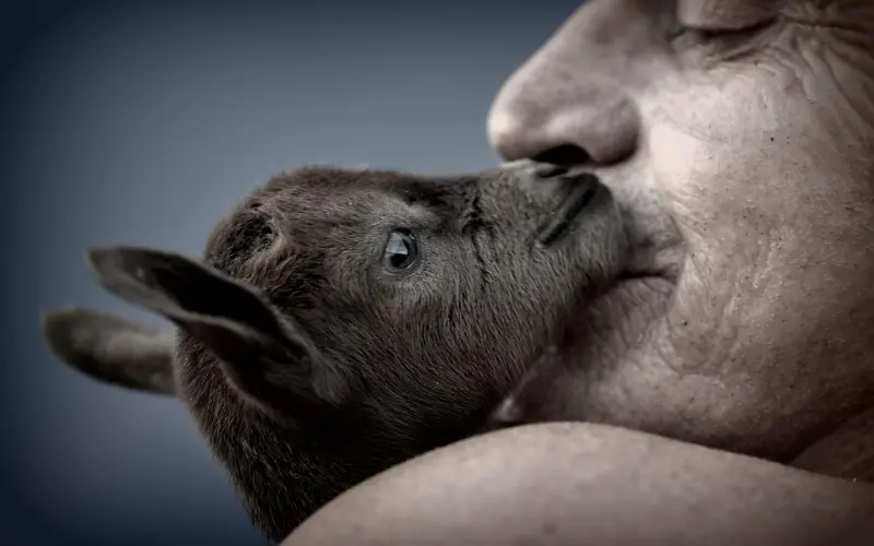 近挪-女人让你触碰“隐私”部位，关系就不再单纯