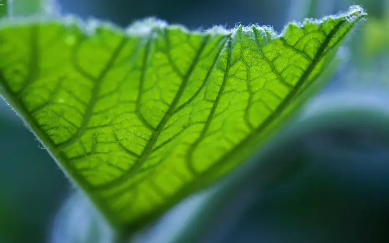 多重脉络聊天法，让妹子主动找你聊不停