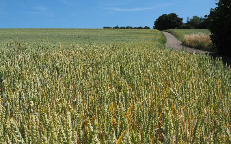 【挽回必看】燃心CQ21点挽回法则①