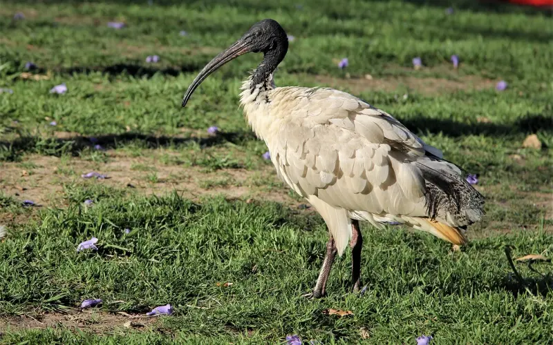 必看 | 男女的爱情靠的就是睡觉！
