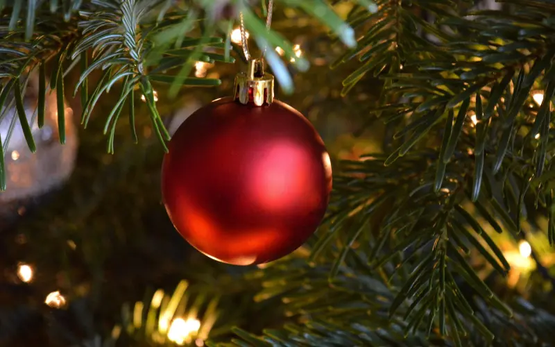 我的极品前男友