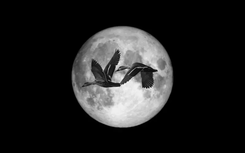 刚在一起男友就总想发生性关系，他是不是动机不纯？