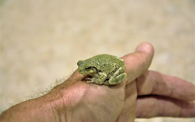 我太粘人导致男友和我分手了，还能挽回吗