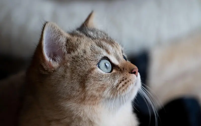 男友不爱发火爱聊骚，还不知悔改