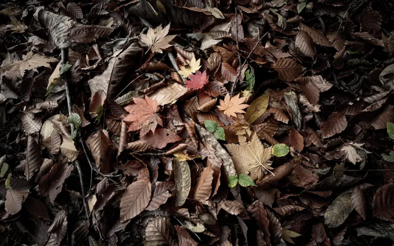 男友说给不起彩礼要分手，我该如何挽回？