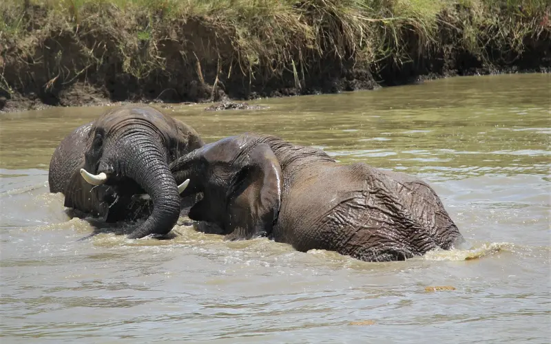 男朋友说不想相互浪费时间了选择分手，我该怎么办