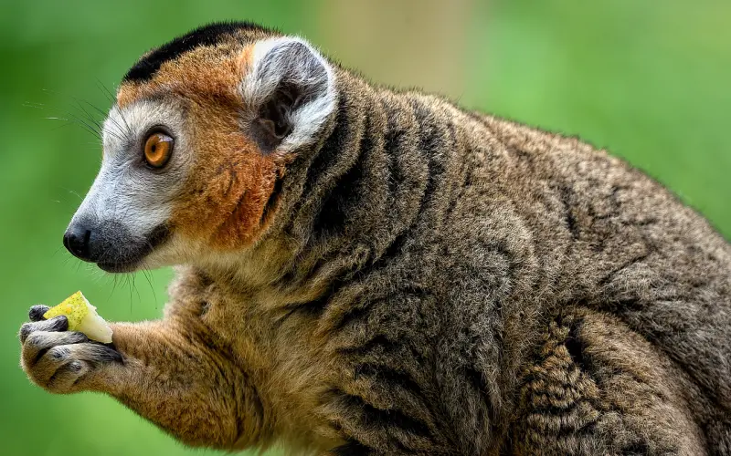 男朋友说累了要分手，我该怎么办