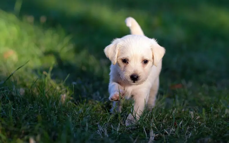 男友说在一起太累了，还能挽回吗