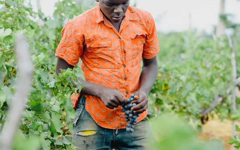 男友单方面提分手，我不同意想挽回怎么办？