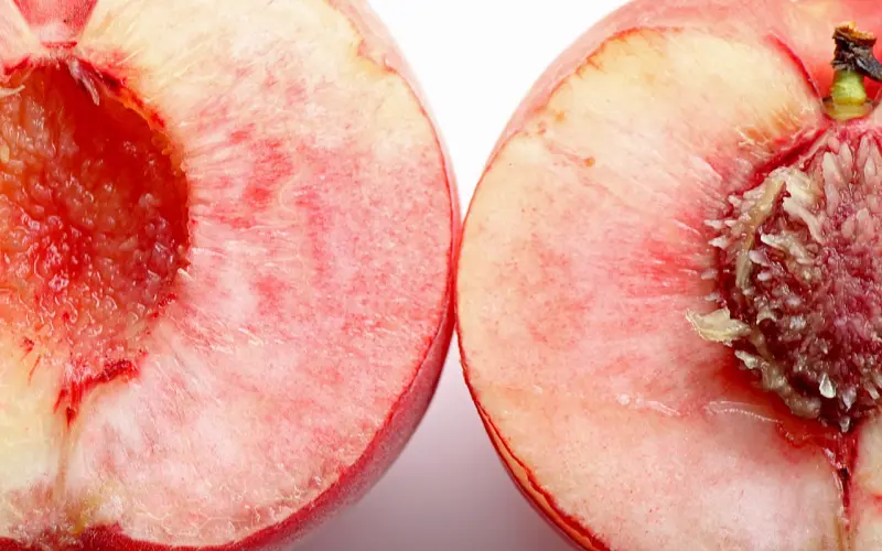 把我当女儿宠的男友发酒疯打我，还能在一起吗？