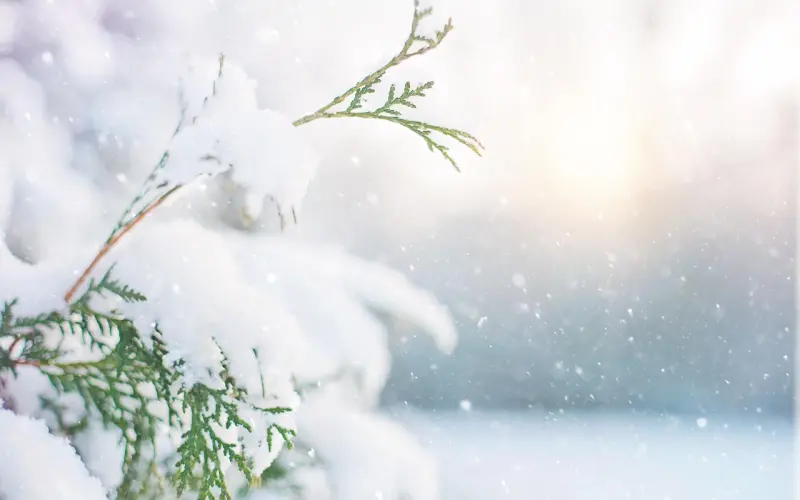 男友离婚失败怕毁了我的青春，但我想等他……