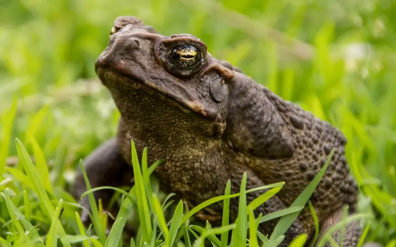 前任有了新欢，该怎么挽回？