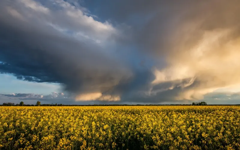 前夫对我家暴，强奸了我...