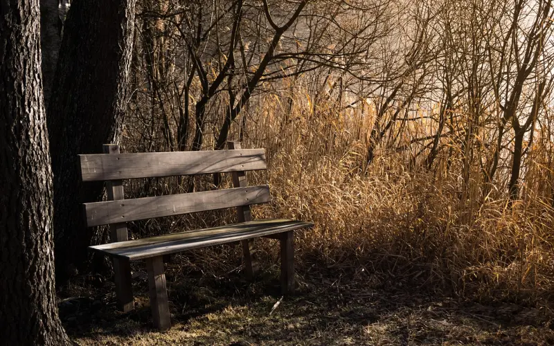 前任主动找我，是余情未了还是另有所图？