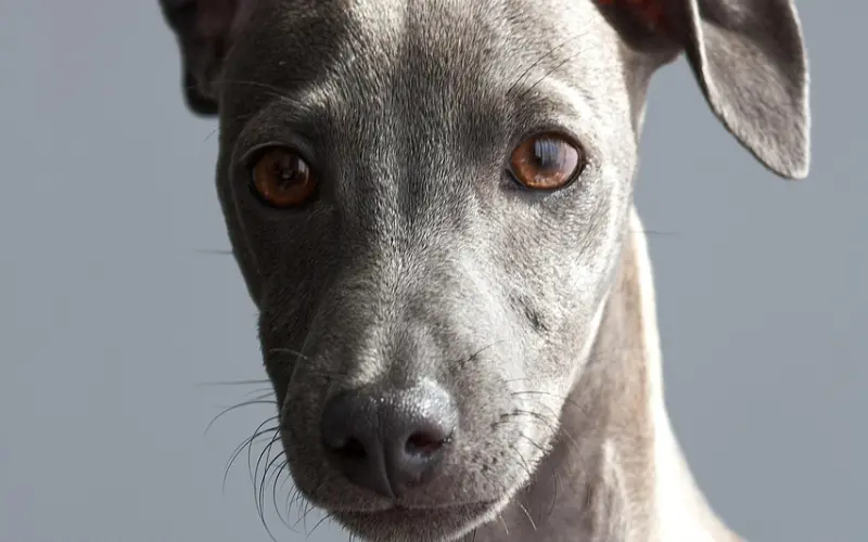 《我最爱的女人们》张伦硕骂哭钟丽缇：你的伴侣真的有你想的那么坏吗？