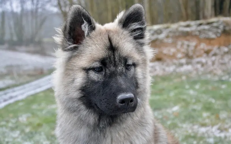 感情越来越淡我该如何挽回