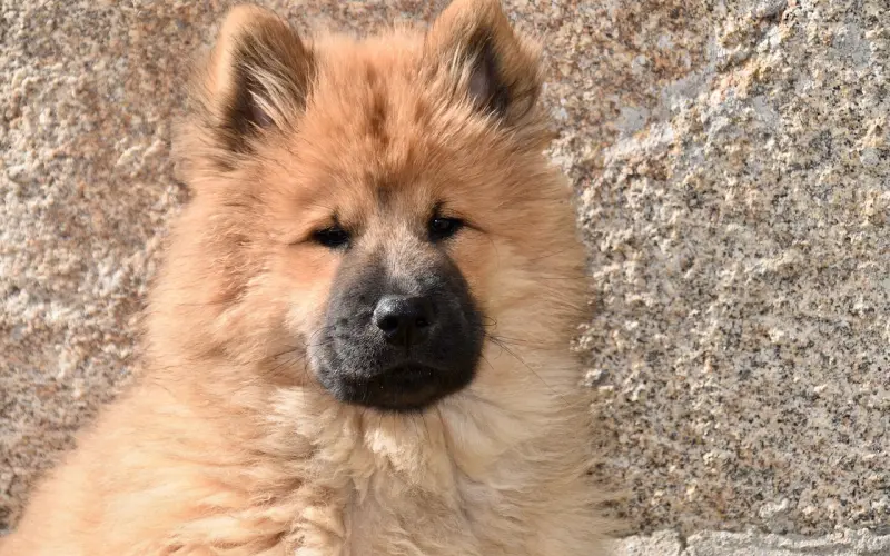 感情越来越淡我该如何挽回