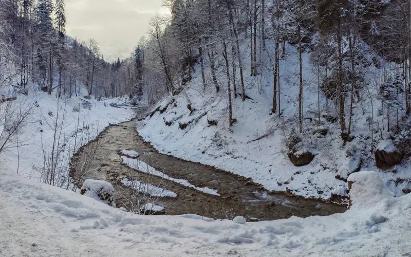 礼金谈崩了未婚夫要分手，该如何挽回？