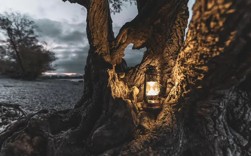 妹子嫌弃我的情商低，怎么办