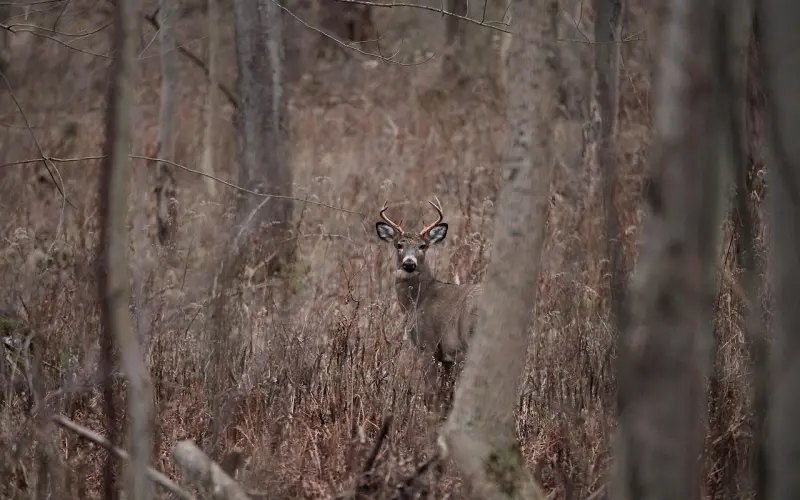 妹子大晚上请我看电影，这是对我有意思吗？