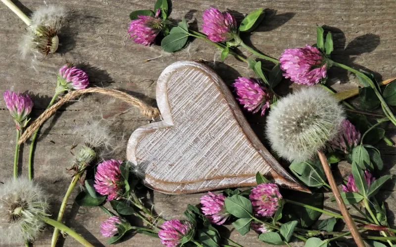 妹子说我太花心了，怎么回答她