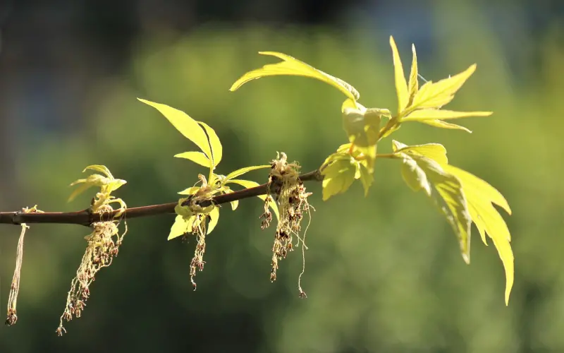 最近和女友天天吵架，该怎么解决