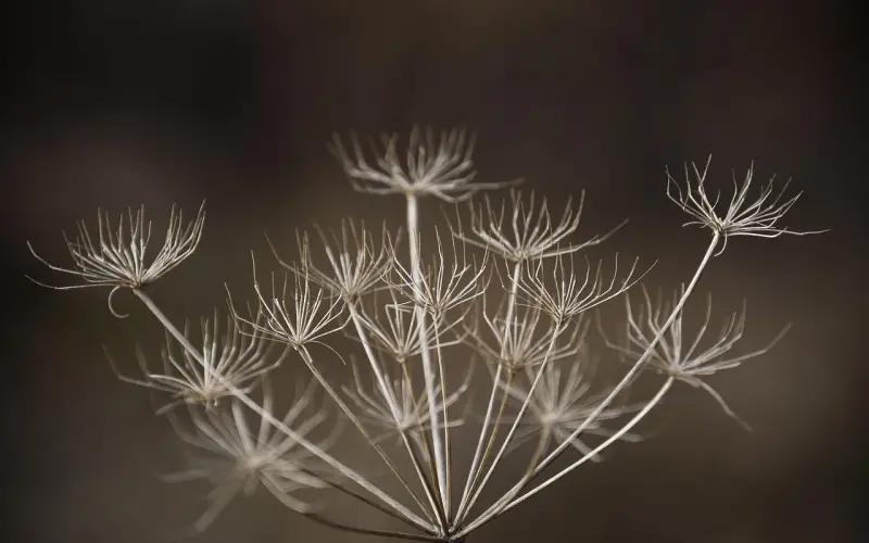 和女朋友本来都要订婚了，最后分手了，还能挽回吗