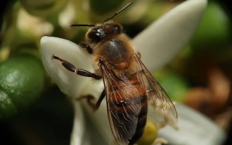 女友和男闺蜜联合起来骗我，该怎么办？