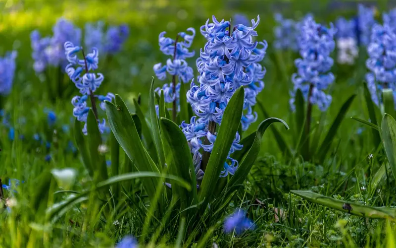 女友提出了分手，该怎么挽回