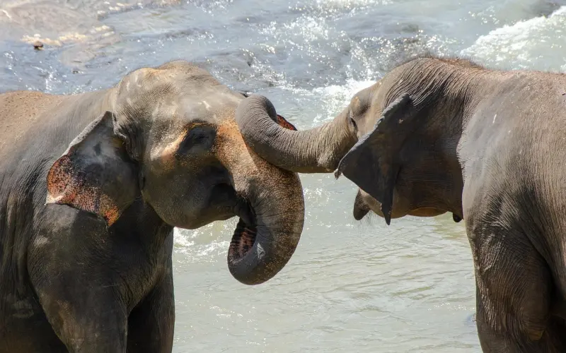 女朋友发信息和分手，我想挽回她该怎么做