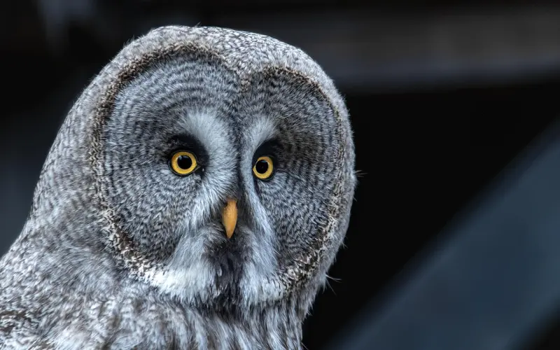 女友不介意我每次3分钟，可父母认为她配不上我怎么办？