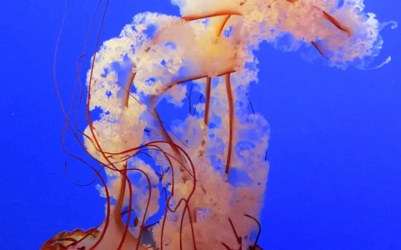 女朋友觉得我和她的生活习惯相冲突选择分手，我该怎么办