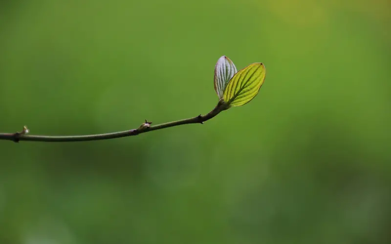 女朋友从不干涉我的生活，她是不是不爱我？