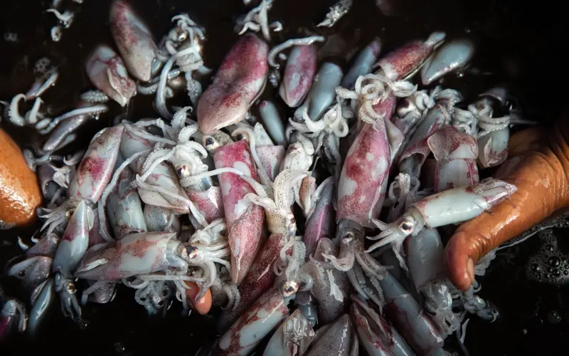 女友说她累了，应该如何挽回她？