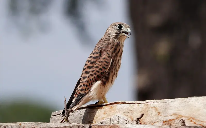 女友觉得我的生活习惯让她难受和我分手，还能挽回吗