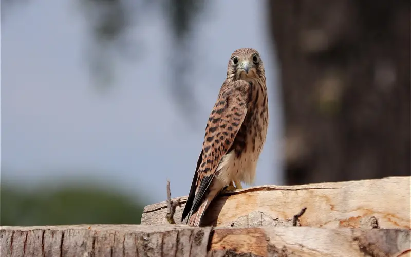 女朋友觉得我的生活习惯让她痛苦和我分手，我该怎么挽回