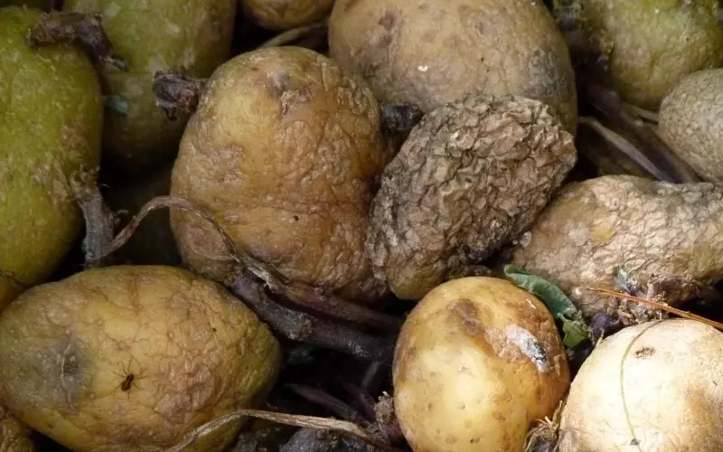 女朋友家里嫌我买不起新房，一直推婚期，还能挽回吗？