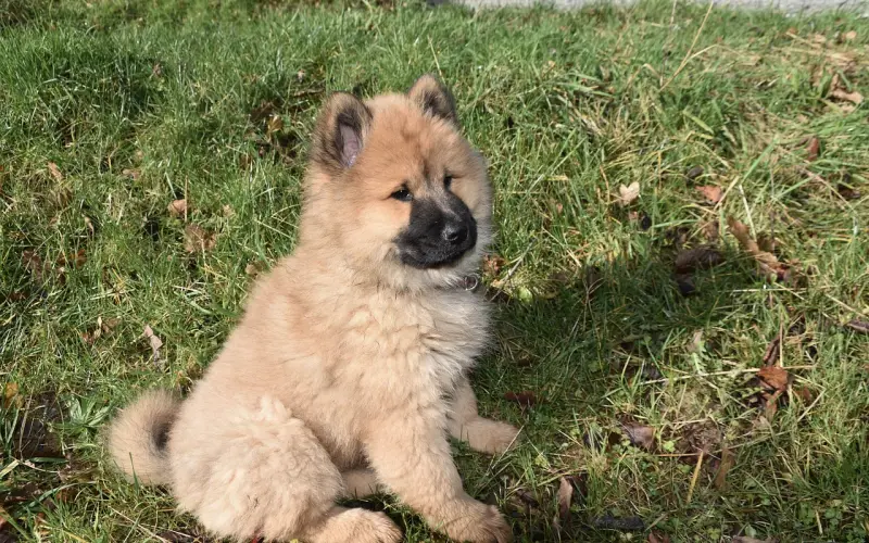 我和老公结婚几年，感情越来越淡了，我该怎么办