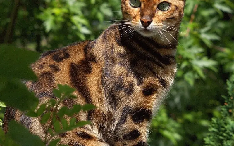 老公频繁出轨要离婚，我该怎么办？让老公的心回归家庭的方法