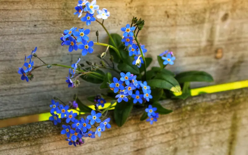 一谈到感情老公就要哭，他心里真的没有我了嘛？