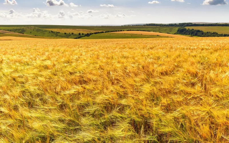 老公出轨六年，如今想要离婚