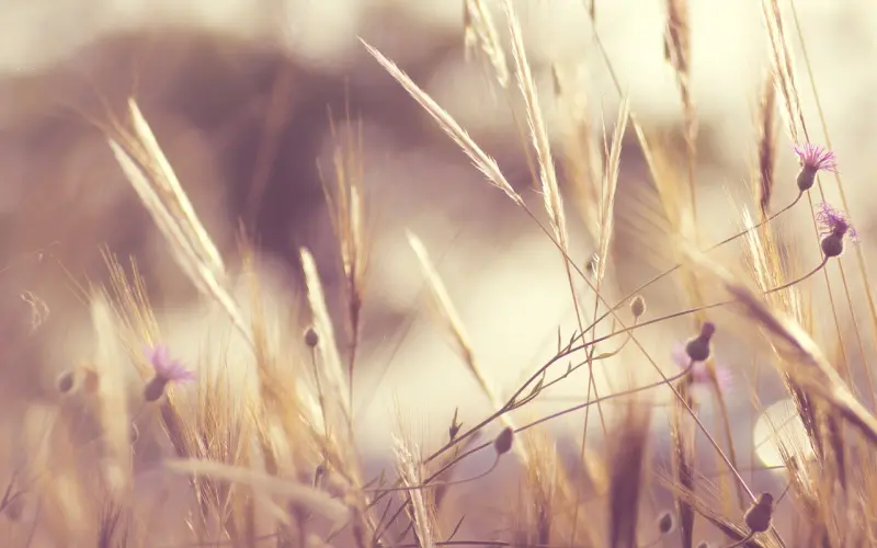 老公惦记前女友，我炸了|别让“伴侣前任”毁了你的婚姻（内含福利）